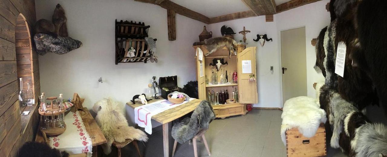 Aue, Ferienwohnung Tux Εξωτερικό φωτογραφία